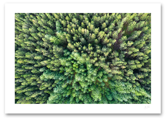 a fine art photographic print of an aerial view of a forest in Glashydevet Co. Donegal