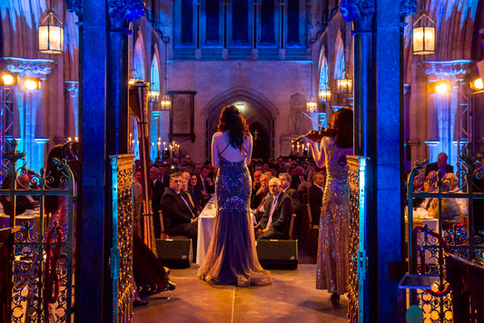 a behind the stage photo of a singer entertaining guests at a gala dinner at Christ Church Cathedral in Dublin