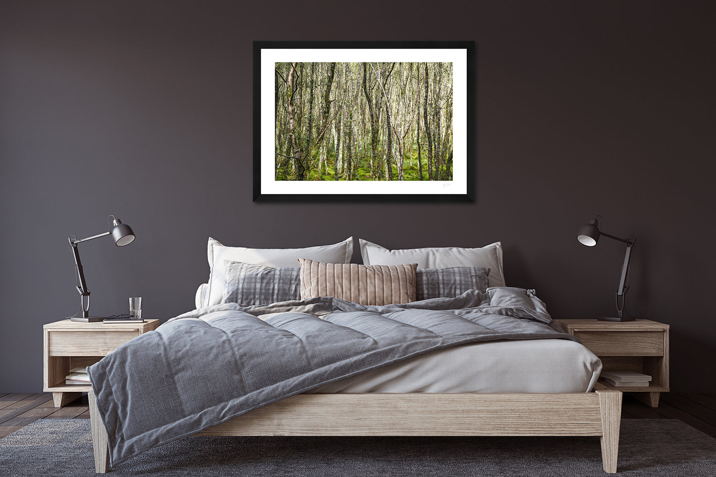 a framed fine art photographic print of a forest of silver birch trees lit by the evening sun in Glendalough, Co Wicklow, hanging above a bed