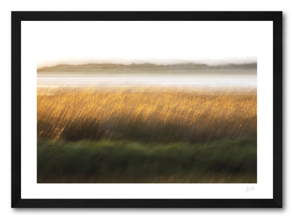 a framed fine art photogrphic print of a field of tall grass becomes a field of gold in the setting sun using motion blur along the shore of Loughros Beg Bay in Donegal.