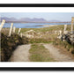 a framed fine art photograph of the view from a narrow country road in Mannin Beg, Connemara looking across Mannin Bay at the 12 Bens mountain range