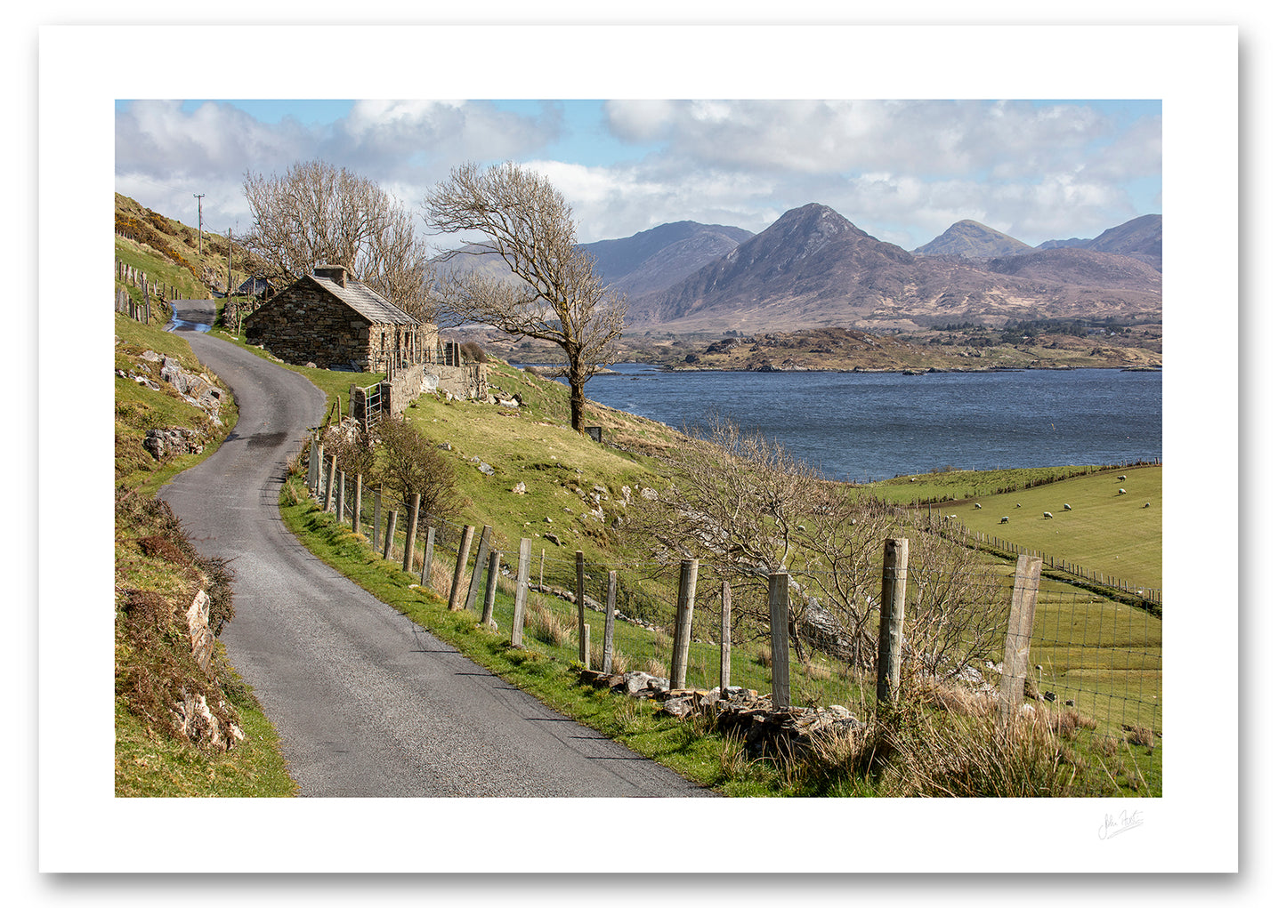 a photograph of a country road leading to a stone cottage with a bare wind bent tree and sheep grazing in a field  in the background a bay and the 12 Bens Mountains bathed in spring sunshine