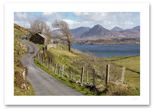 a photograph of a country road leading to a stone cottage with a bare wind bent tree and sheep grazing in a field  in the background a bay and the 12 Bens Mountains bathed in spring sunshine