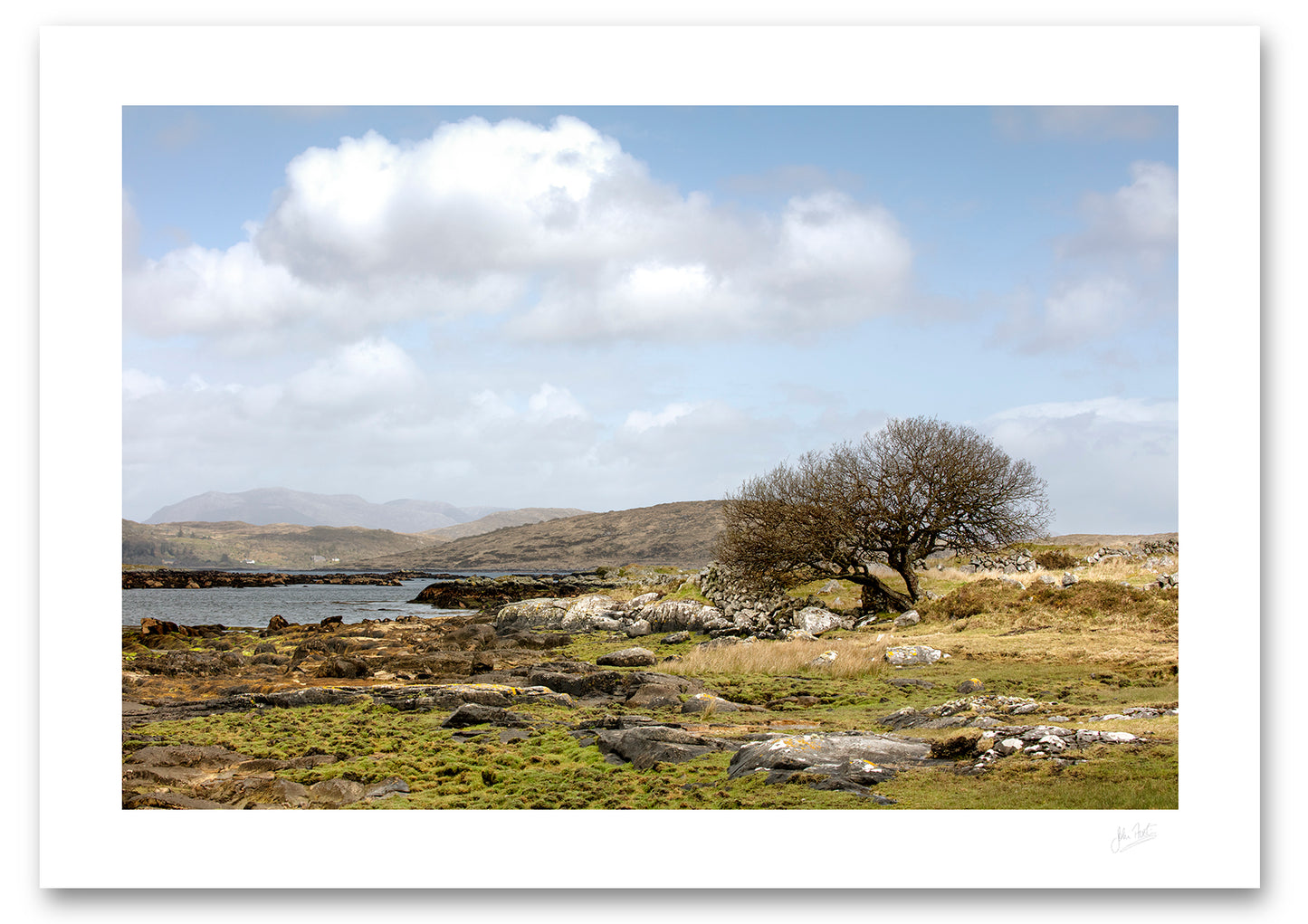 a lone barren tree witnesses and counts the ebbs and flow of time around Cashel Bay as the rugged beauty of the Connemara landscape is further revealed by the low tide.