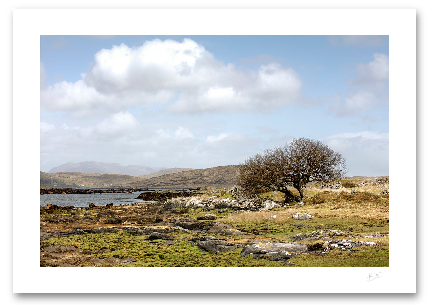 a lone barren tree witnesses and counts the ebbs and flow of time around Cashel Bay as the rugged beauty of the Connemara landscape is further revealed by the low tide.