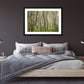 a framed fine art photographic print of a forest of silver birch trees lit by the evening sun in Glendalough, Co Wicklow, hanging above a bed