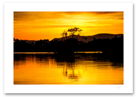unframed fine art print of a silhouetted tree on Lough Lean during sunset